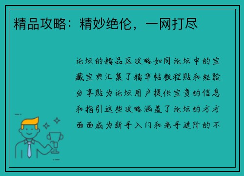 精品攻略：精妙绝伦，一网打尽